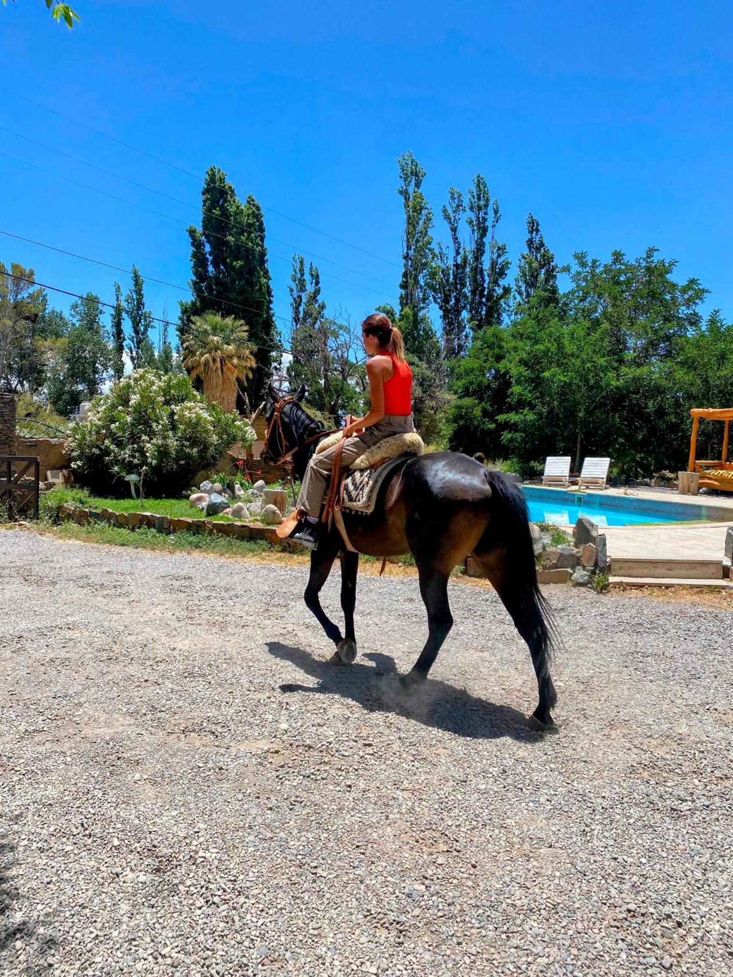 La Comarca Del Jarillal Otel Las Flores  Dış mekan fotoğraf