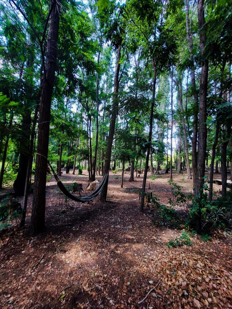 La Comarca Del Jarillal Otel Las Flores  Dış mekan fotoğraf